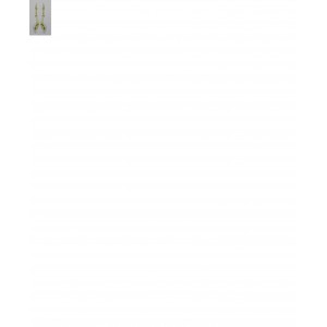 MORI GOUDEN OORHANGERS, BICOLOR, GEBOGEN PLAATJES - 80019 - 41-LZ-431