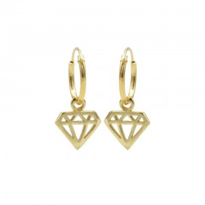 ZILVEREN CREOLEN SYMBOLS DIAMOND DOUBLE -geen garantie op plating- - 76889 - M2413