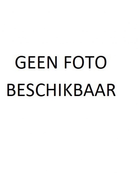 ZIVEREN KINDERRING BLOEM CZ - 60311 - 1011205