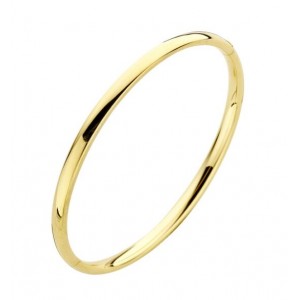 FJORY GOUDEN SLAVENARMBAND MET MASSIEF ZILVEREN KERN EN SCHARNIER OVAAL ROND 5.0MM 61MM - 78423 - 40-A356105-61MM