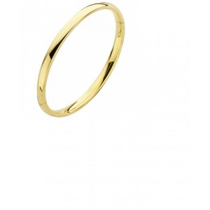 FJORY GOUDEN SLAVENARMBAND MET MASSIEF ZILVEREN KERN EN SCHARNIER OVAAL ROND 6.0MM 61MM - 81651 - 40-A356106-61MM