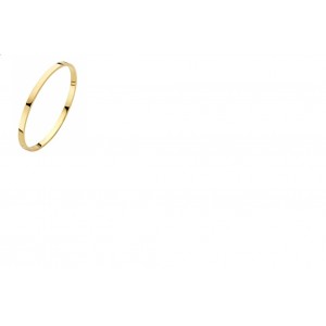 FJORY GOUDEN SLAVENARMBAND MET MASSIEF ZILVEREN KERN EN SCHARNIER VLAK/VLAK 4.0MM 63MM - 83221 - 40-A386304-63MM