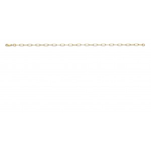 FJORY GOUDEN ARMBAND ANKER MET ZILVEREN KERN 7.65MM 3.5MM 19CM (Ook als 18 en 21cm en armband en collier leverbaar) - 80613 - 40-ANK03.519-19CM