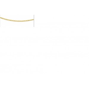 FJORY GOUDEN ARMBAND KONINGSSCHAKEL MET ZILVEREN KERN 3.7MM 21CM - 82709 - 40-KON03,721-21CM