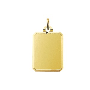 GOUDEN GRAVEERHANGER 23X18MM - 65370 - 4008690