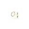 GOUDEN CREOOL MET SCHARNIERSLUITING 2.0X14MM (1 stuks) - 503478 - 40223581