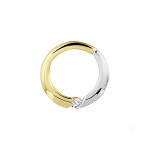 GOUDEN HANGER BI-COLOR ROND MET ZIRKONIA 15MM - 76712 - 4020988