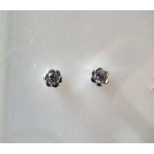 WITGOUDEN OORKNOPJES BLOEM CZ - 76994 - 9909900